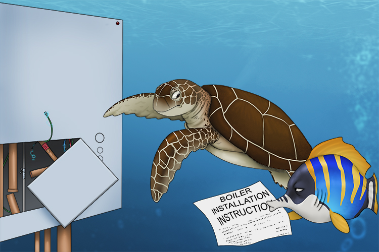 The turtle should read (tertiary industry) the instructions when fitting the boiler. When you are providing a service for a consumer you should be prepared.